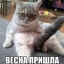 Антон Пердушкин Забор